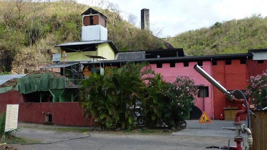 Découvrez le Rhum de chez Neisson en Martinique